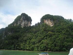 Jungle Island