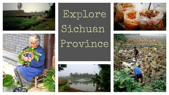 Exploring Sichuan Province – My China Experience 12