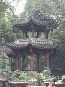 Isn't that mystical? Chengdu Sichuan Province