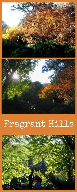 Fragrant Hills Beijing