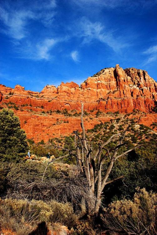 Red Rocks of Sedona, Arizona 7
