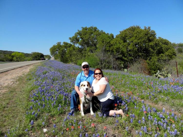 Haase Family Blue Bonnets
