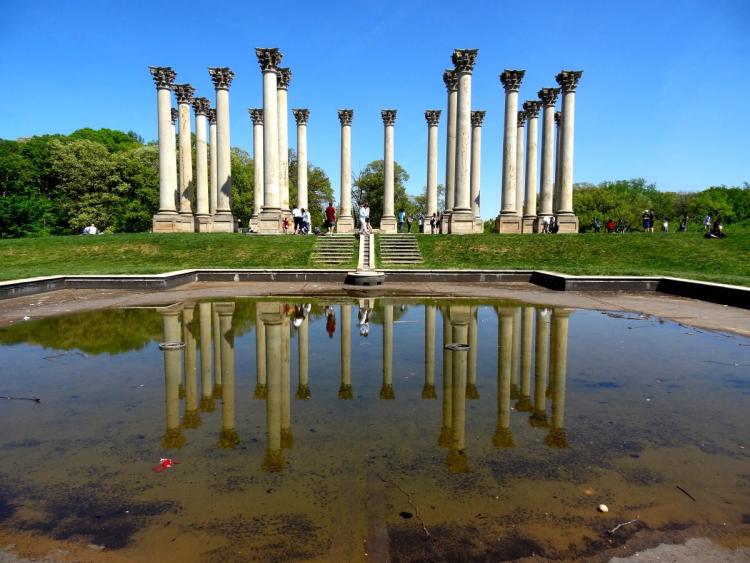 Arboretum Washington DC Capitol Columns