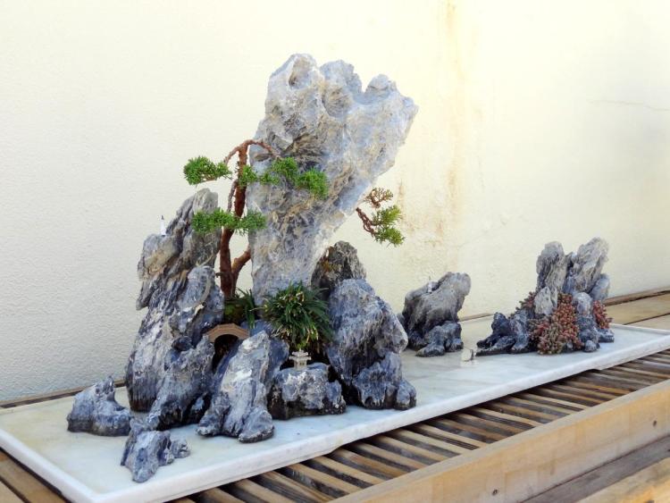 Arboretum in Washington DC Bonsai Exhibit