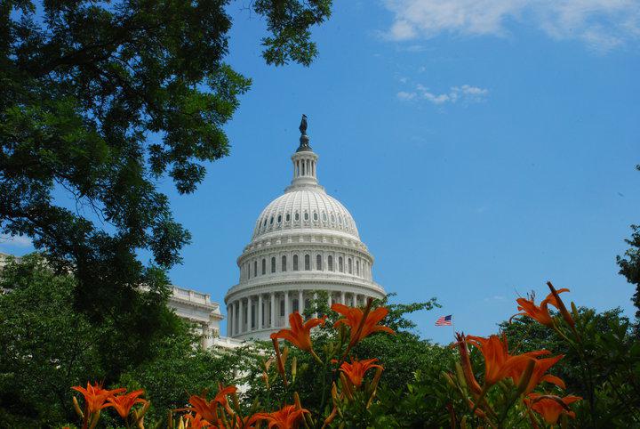Washington DC Photography Tour - US Capitol