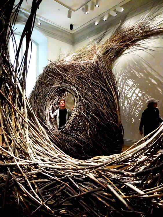 Renwick Gallery Wonders Exhibit Patrick Dougherty 1