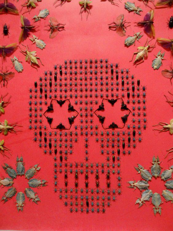 Renwick Gallery Wonders Exhibit Jennifer Angus 1