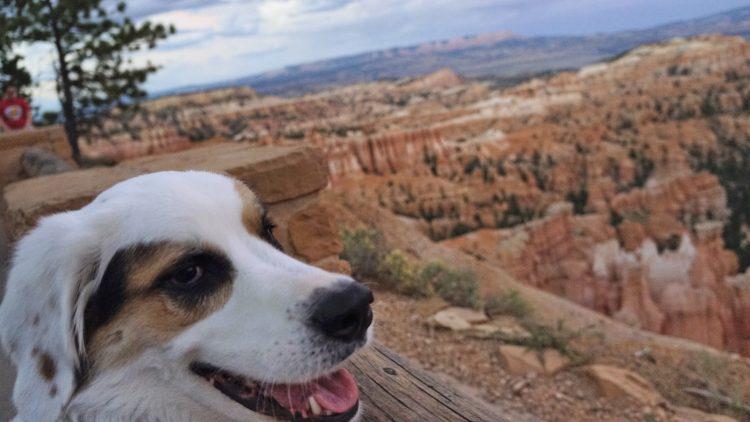 Robby at Bryce Canyon: Utah National Parks 