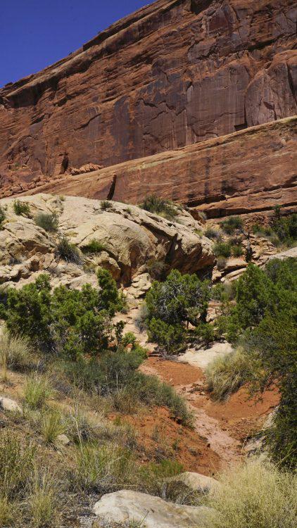 Arches National Park Utah National Park Red Rocks