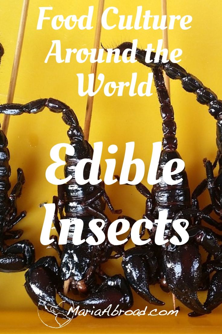 Edible Insects – A Push Outside Your Comfort Zone | Maria Abroad