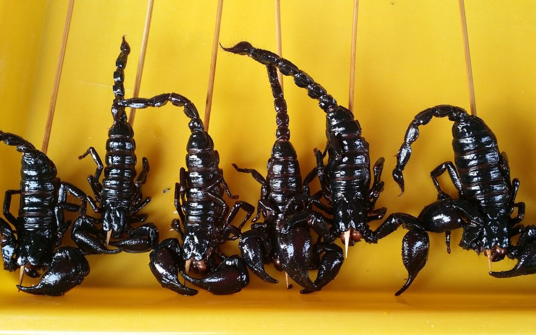 Edible black Scorpions on a yellow tray - Edible Insects