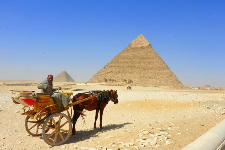 On a bright clear day, a horse drawn cart trudges on toward the Pyramids in the short distance in Egypt