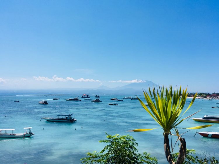 Gorgeous crystal blue ocean with scattered rocks sticking out and a few palms of